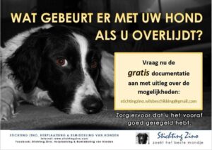 Stichting Zino Wilsbeschikking