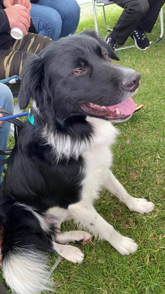 Stichting Zino Paeke