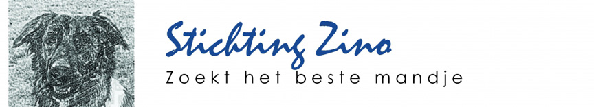Stichting Zino Logo