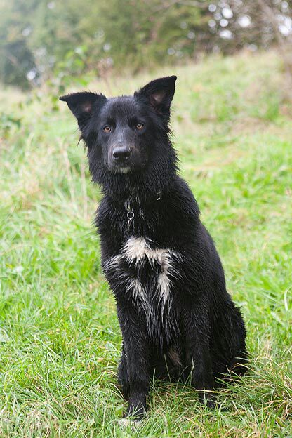 Stichting Zino Balou