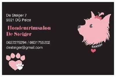 Trimsalon De Steiger