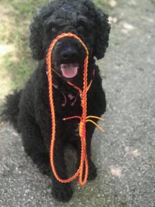 BijGabs snelle uitlater