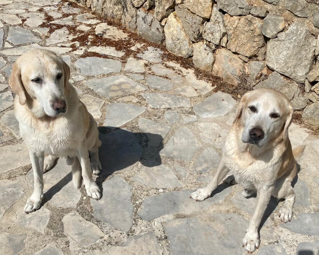 Stichting Zino Atom en Uran