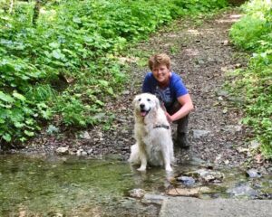 Stichting Zino Marry Weessies