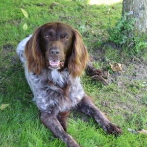 Stichting Zino 1Juul