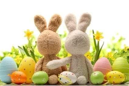 Stichting Zino Pasen