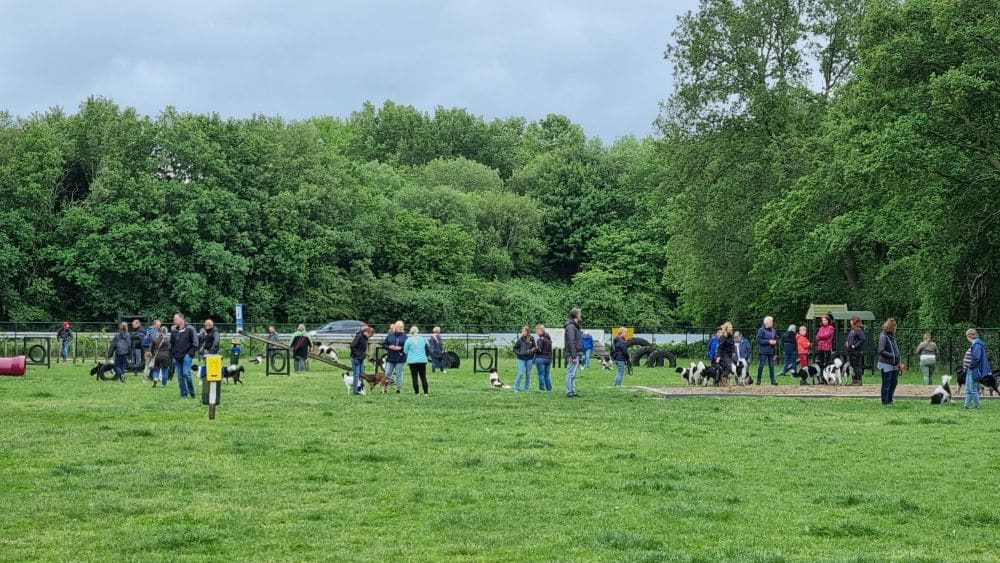 Zino evenement 29 mei 2022