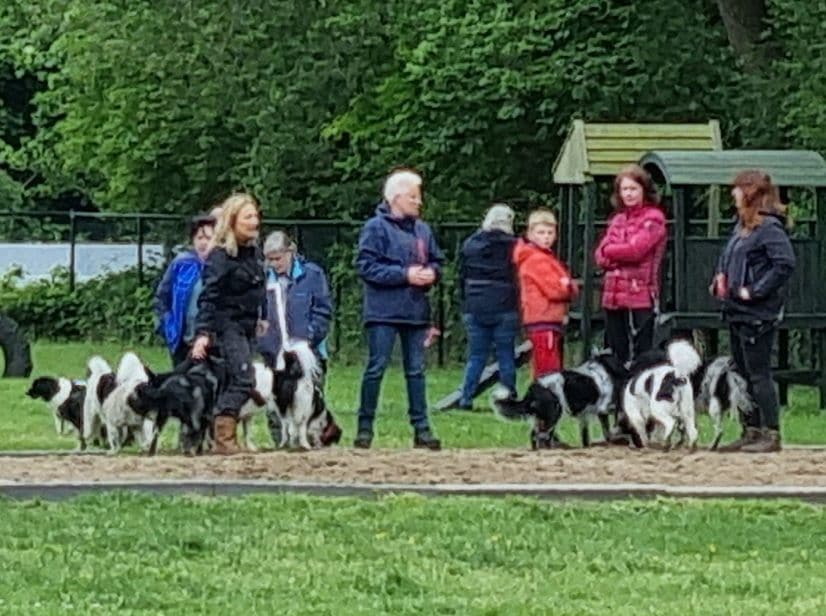 Zino evenement 29 mei 2022