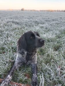 Stichting Zino Jutte