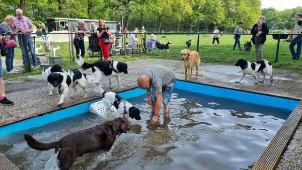 Stichting Zino Hondenspeeltuin