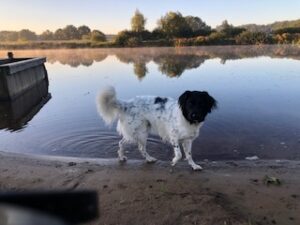 Stichting Zino Guusje