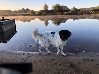 Stichting Zino Guusje