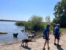 Teamdag Stichting Zino 2023