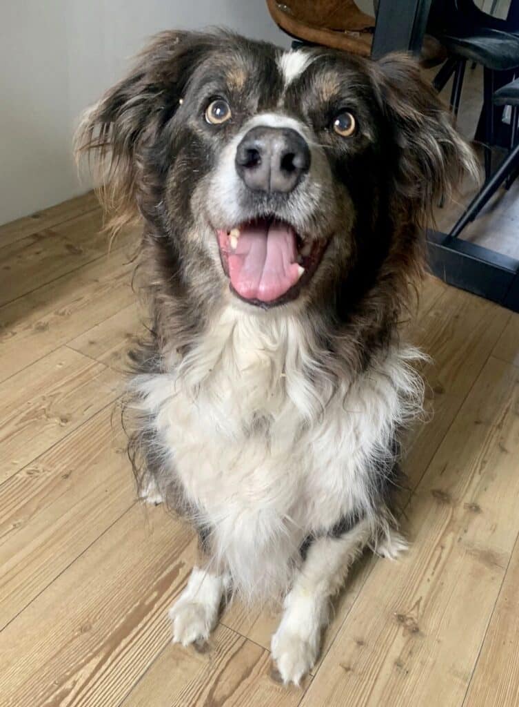 Stichting Zino Diego