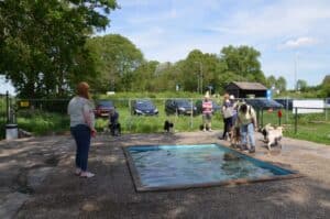 Stichting Zino hondenspeeltuin Beilen