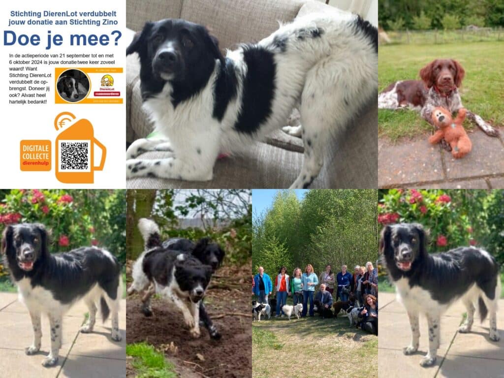 4 Oktober Dierendag!