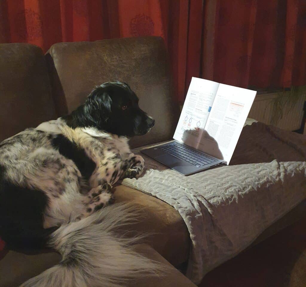 Stichting Zino zoekt een vrijwilliger website