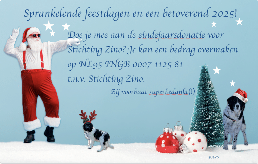 Kerstsluiting Stichting Zino
