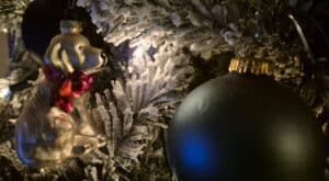 Stichting Zino Kerst 2024