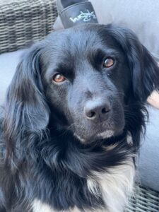 Stichting Zino Bijke