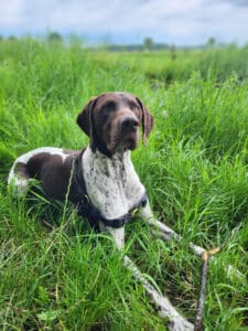 Stichting Zino Harley in bloemen