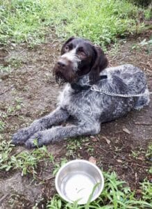 Stichting Zino Boris