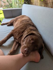 Stichting Zino Senna op de bank