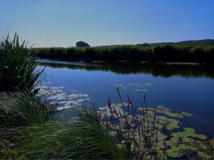 Stichting Zino Christmas Challenge