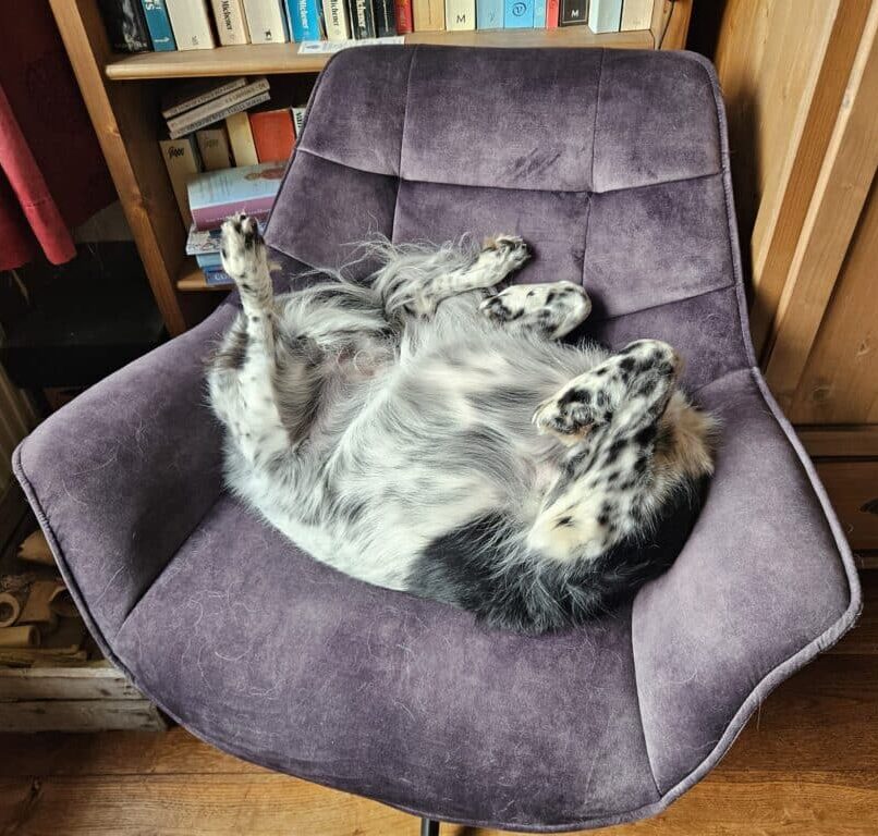 Een tijd van komen en gaan