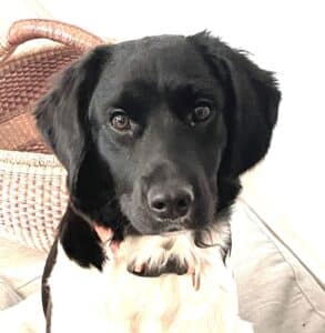 stichting Zino pappa boven