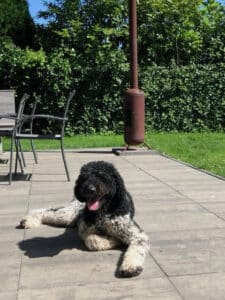 Stichting Zino Sypke