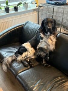 Stichting Zino Wobbe