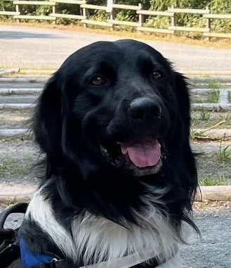 Jente zoekt een nieuwe beste mand! [Inschrijving gesloten]